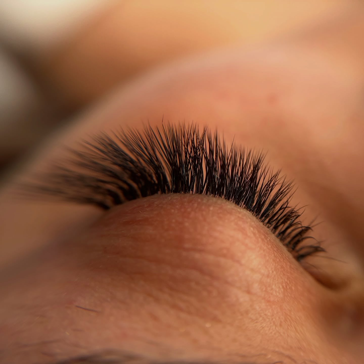 Premium lash and brow training