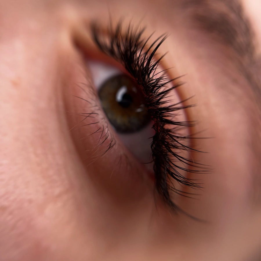 Classic Lash Extensions Mastery